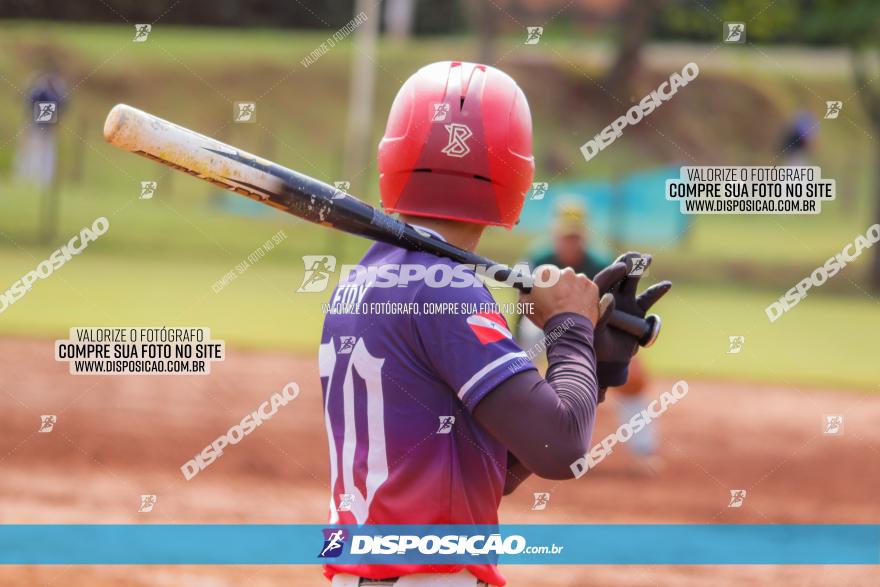 XXXII Brasileirão de Softbol