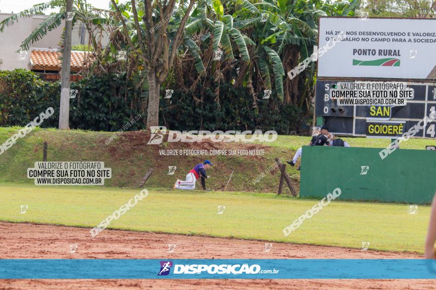 XXXII Brasileirão de Softbol