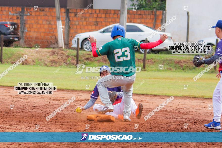 XXXII Brasileirão de Softbol