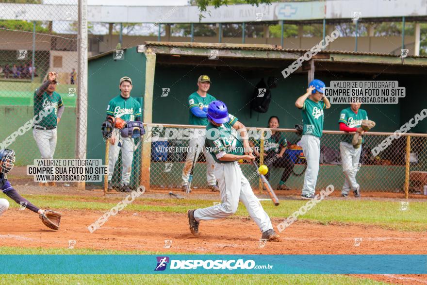 XXXII Brasileirão de Softbol