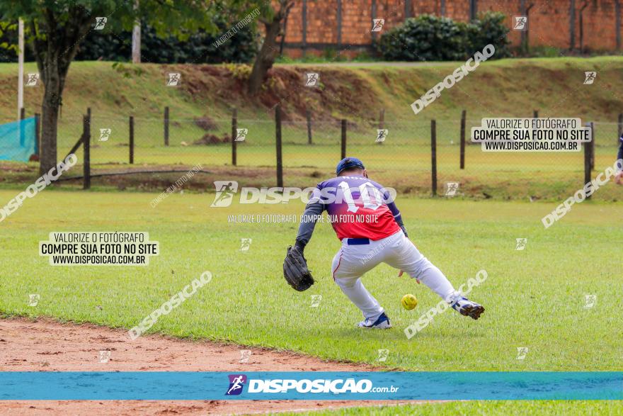 XXXII Brasileirão de Softbol