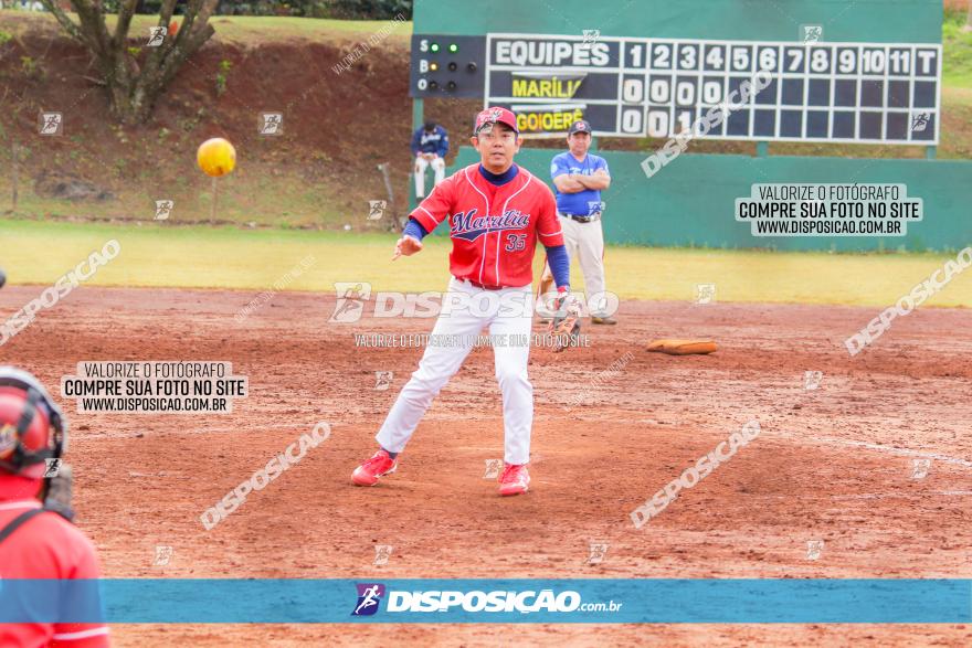 XXXII Brasileirão de Softbol