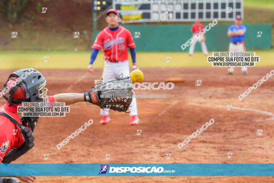 XXXII Brasileirão de Softbol