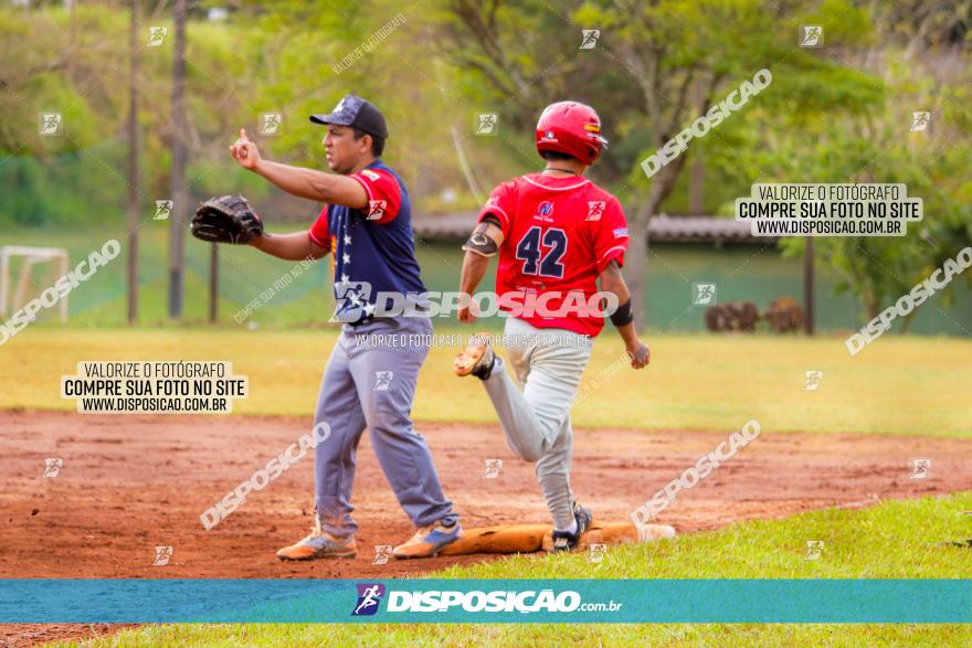 XXXII Brasileirão de Softbol