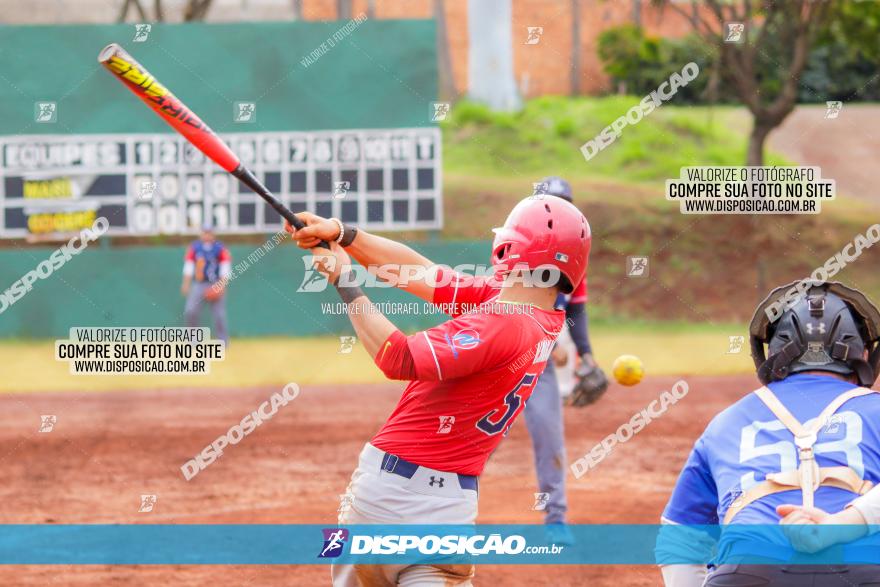 XXXII Brasileirão de Softbol