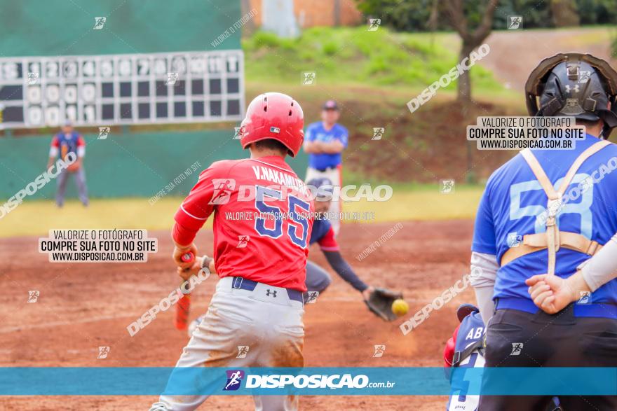 XXXII Brasileirão de Softbol