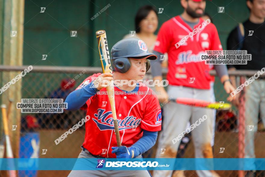 XXXII Brasileirão de Softbol