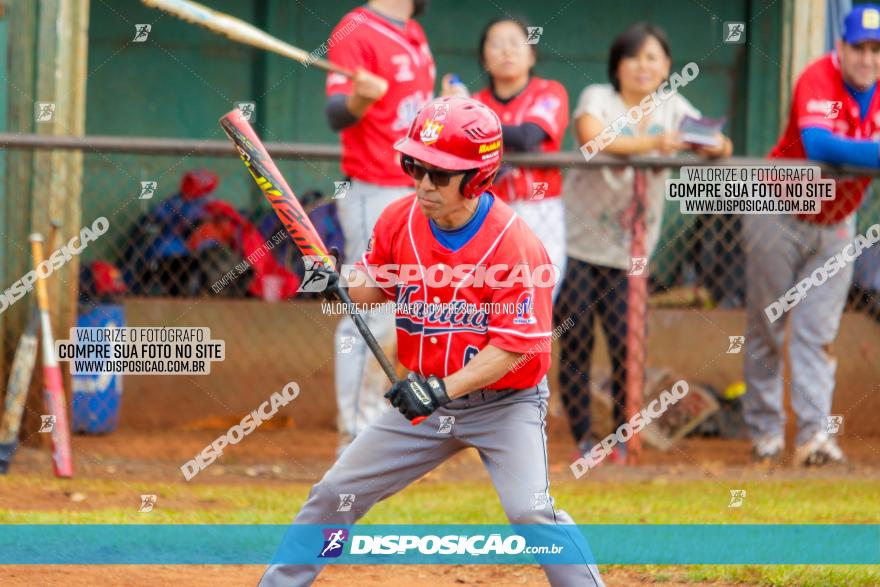 XXXII Brasileirão de Softbol