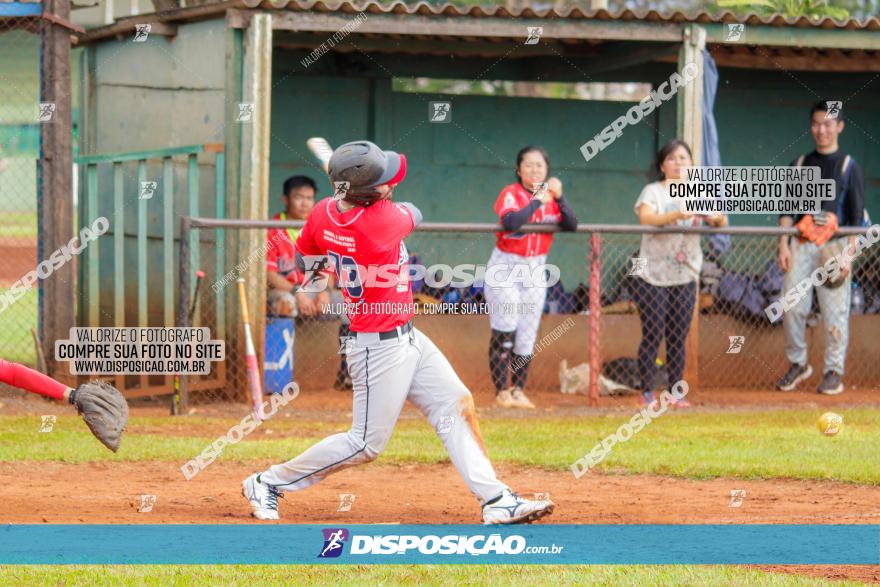 XXXII Brasileirão de Softbol