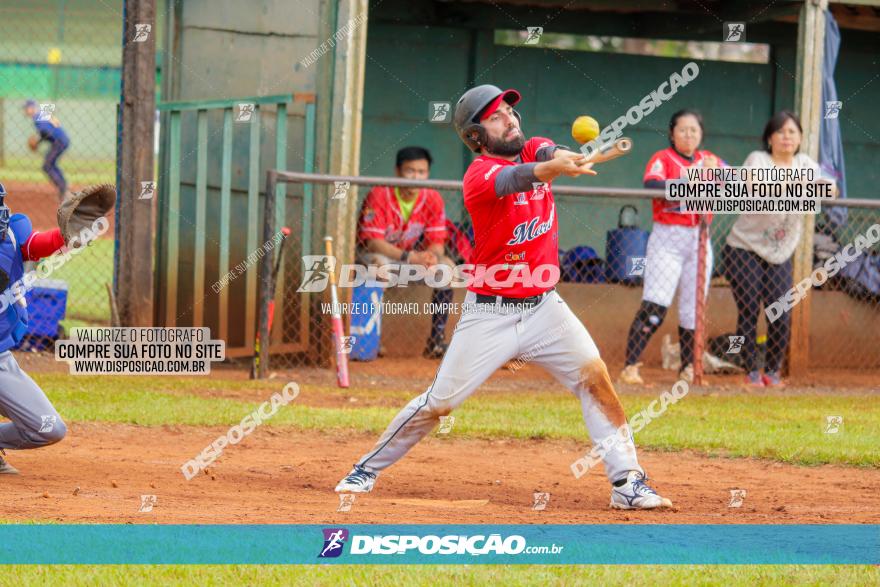 XXXII Brasileirão de Softbol