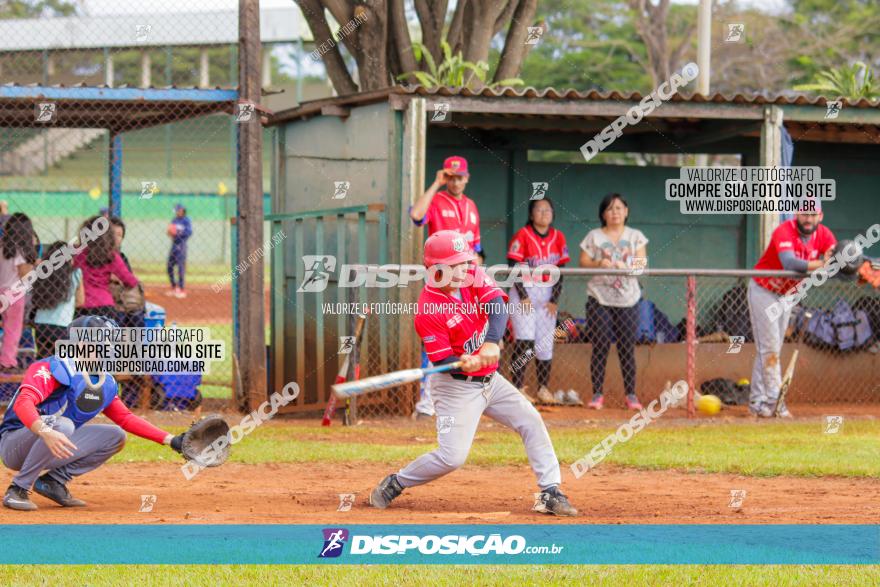 XXXII Brasileirão de Softbol