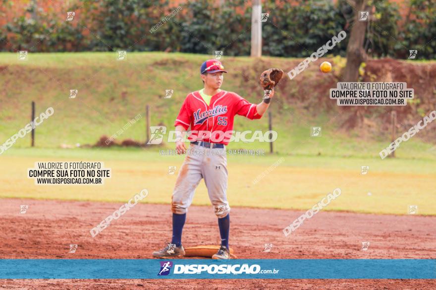 XXXII Brasileirão de Softbol