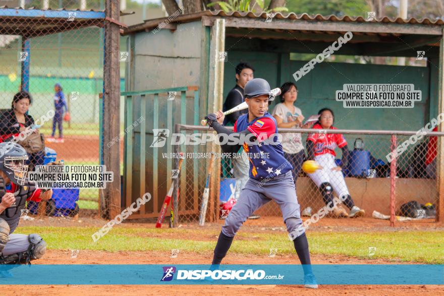 XXXII Brasileirão de Softbol