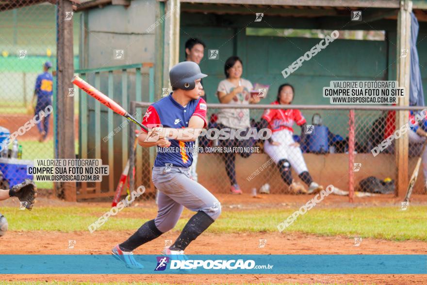 XXXII Brasileirão de Softbol