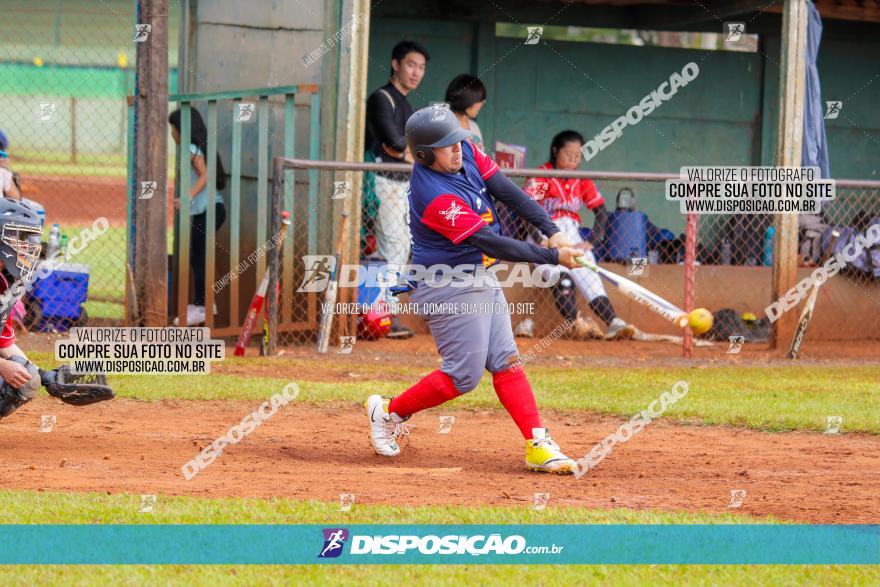 XXXII Brasileirão de Softbol