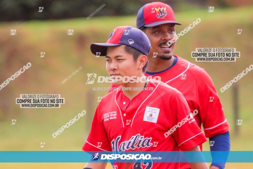 XXXII Brasileirão de Softbol