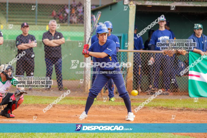 XXXII Brasileirão de Softbol