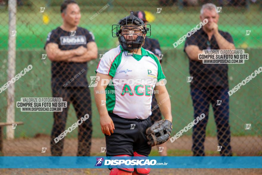 XXXII Brasileirão de Softbol