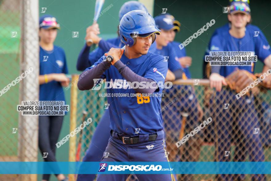 XXXII Brasileirão de Softbol