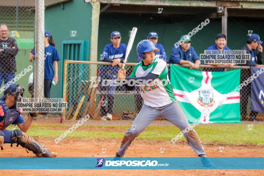 XXXII Brasileirão de Softbol