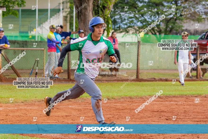 XXXII Brasileirão de Softbol