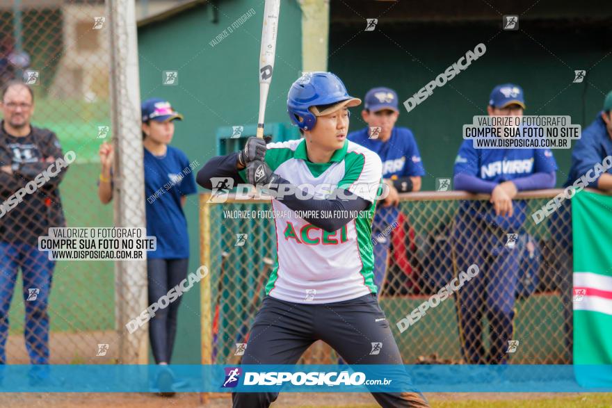 XXXII Brasileirão de Softbol