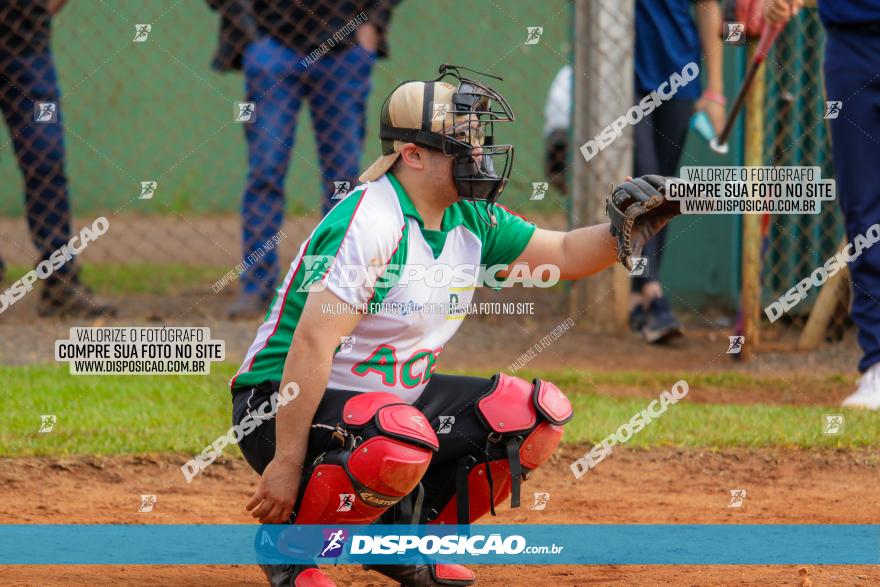 XXXII Brasileirão de Softbol