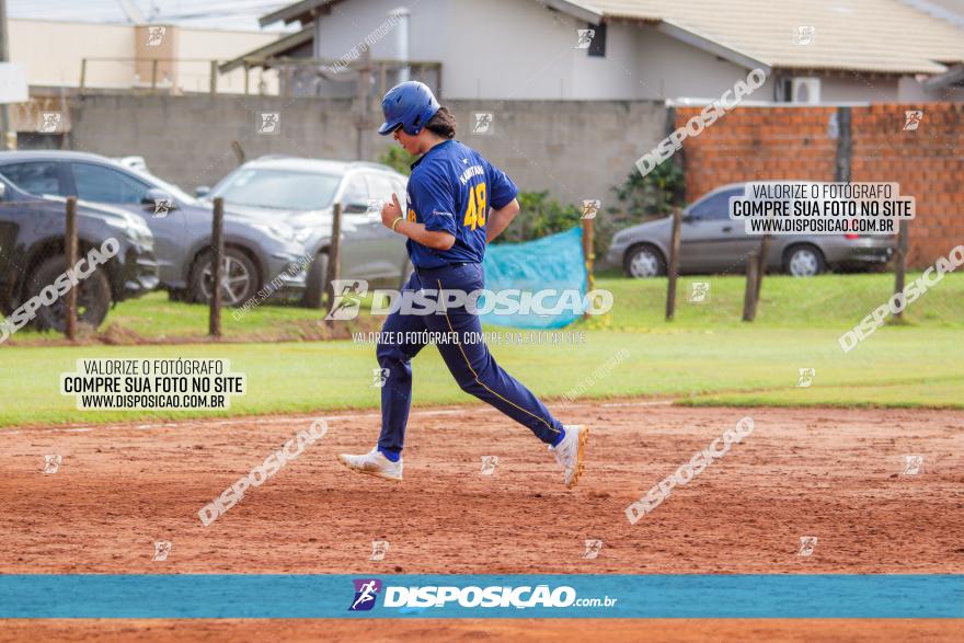 XXXII Brasileirão de Softbol