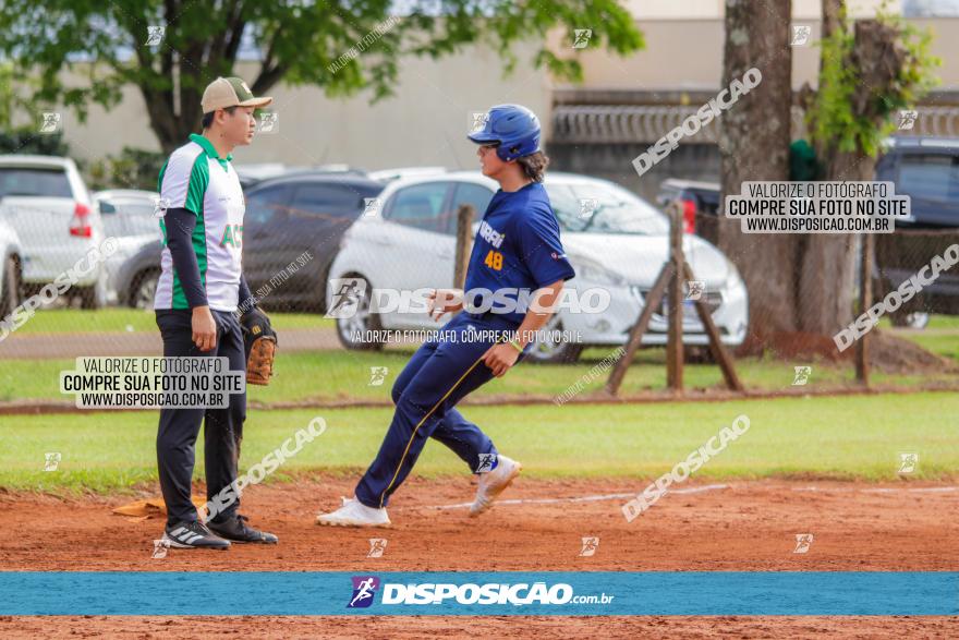 XXXII Brasileirão de Softbol