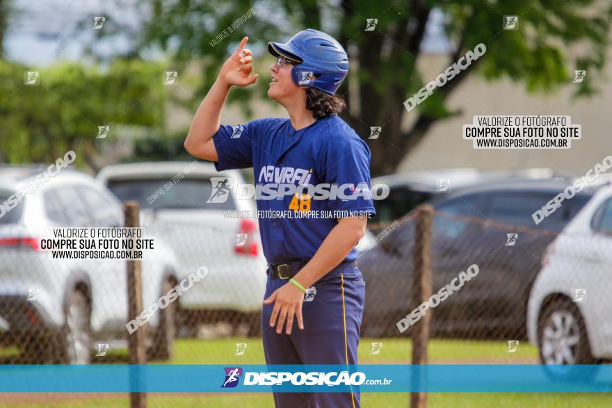 XXXII Brasileirão de Softbol