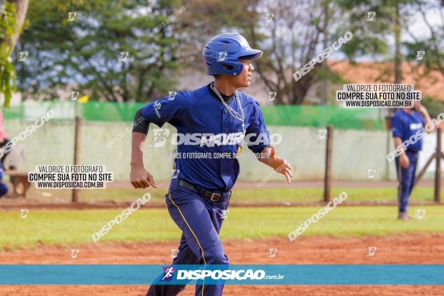 XXXII Brasileirão de Softbol