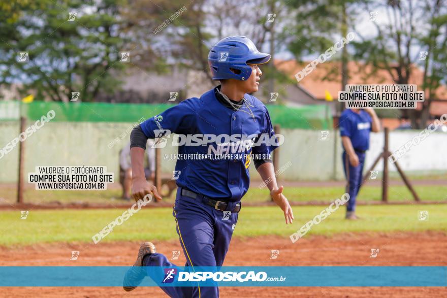 XXXII Brasileirão de Softbol