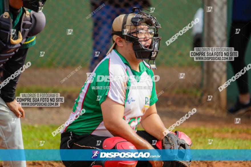 XXXII Brasileirão de Softbol