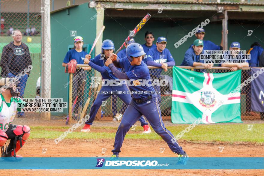 XXXII Brasileirão de Softbol