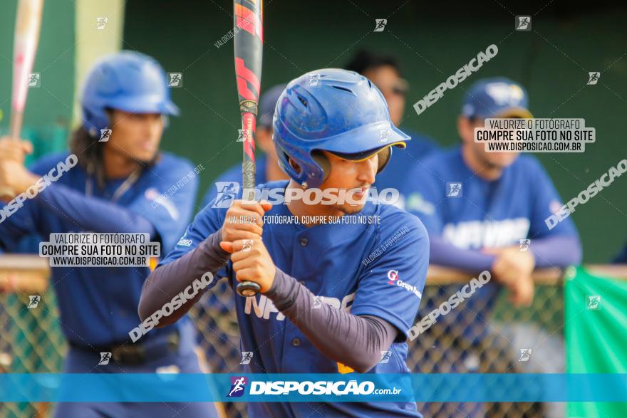 XXXII Brasileirão de Softbol