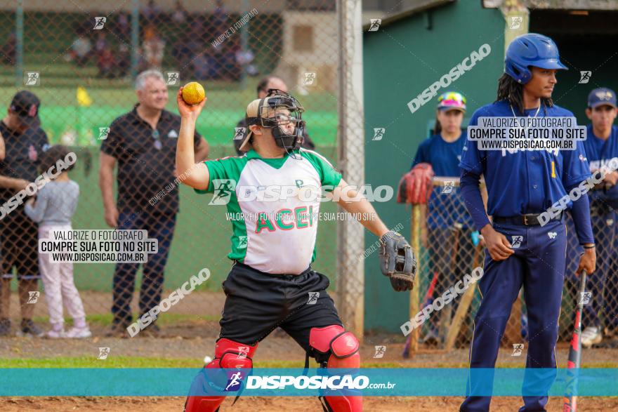 XXXII Brasileirão de Softbol