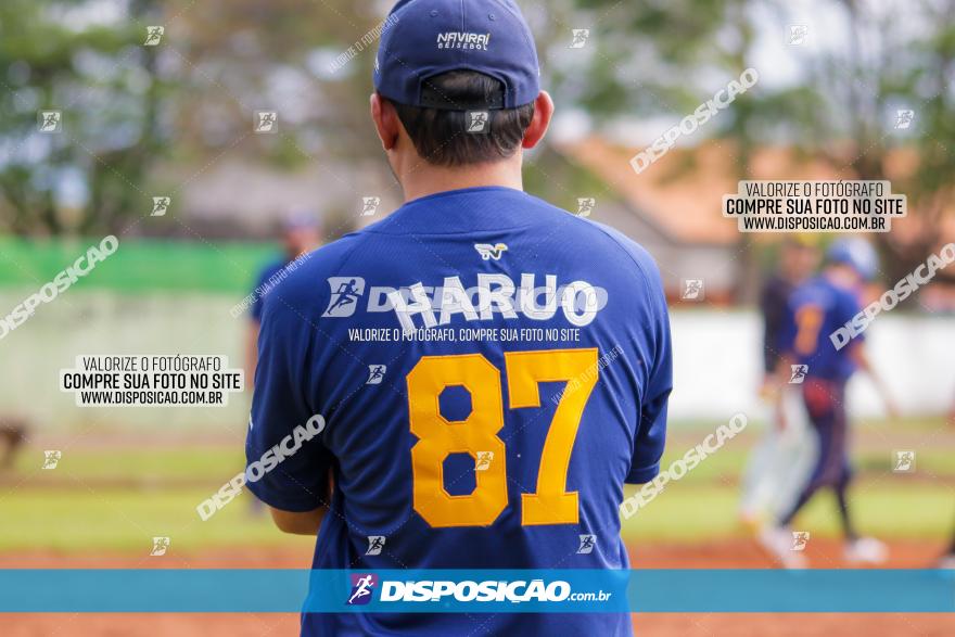 XXXII Brasileirão de Softbol