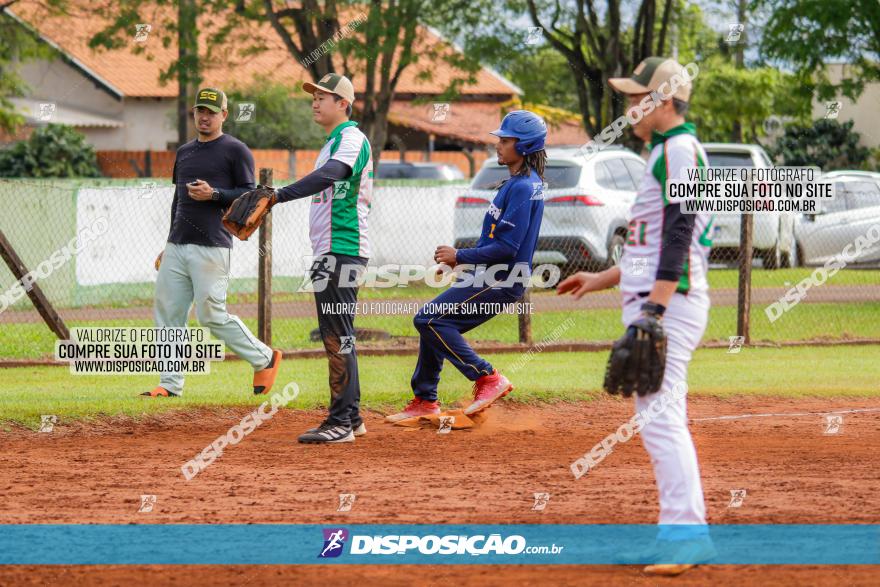 XXXII Brasileirão de Softbol