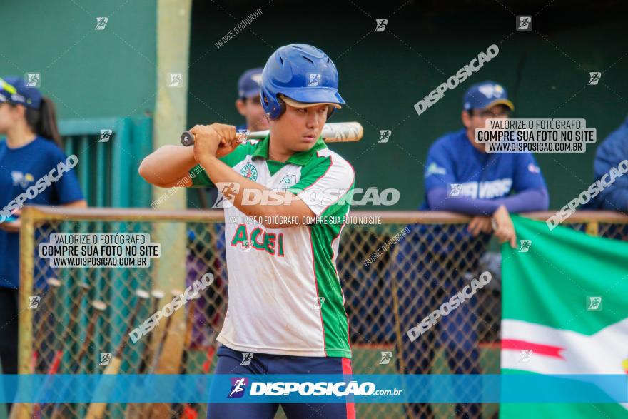 XXXII Brasileirão de Softbol