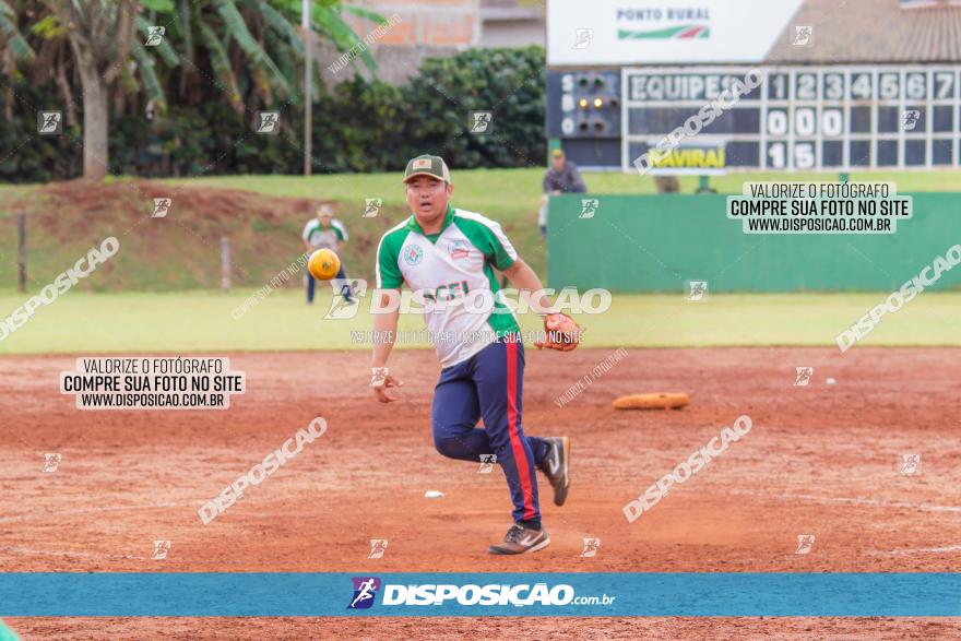 XXXII Brasileirão de Softbol