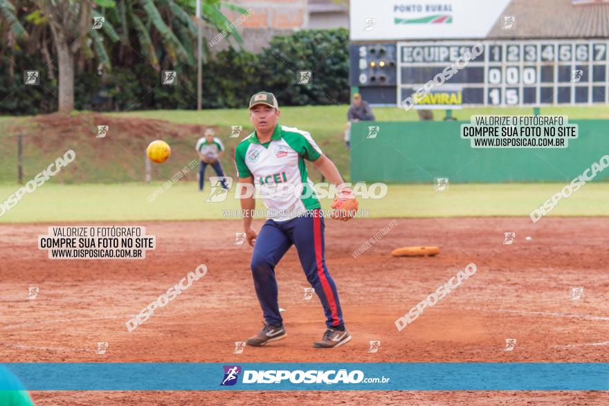 XXXII Brasileirão de Softbol