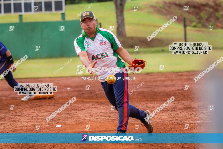 XXXII Brasileirão de Softbol