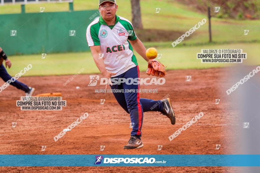 XXXII Brasileirão de Softbol