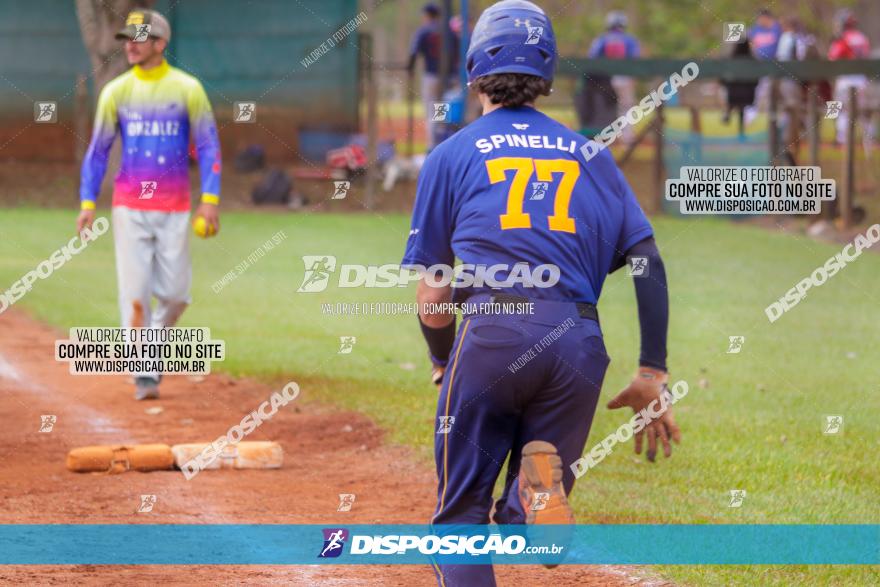 XXXII Brasileirão de Softbol