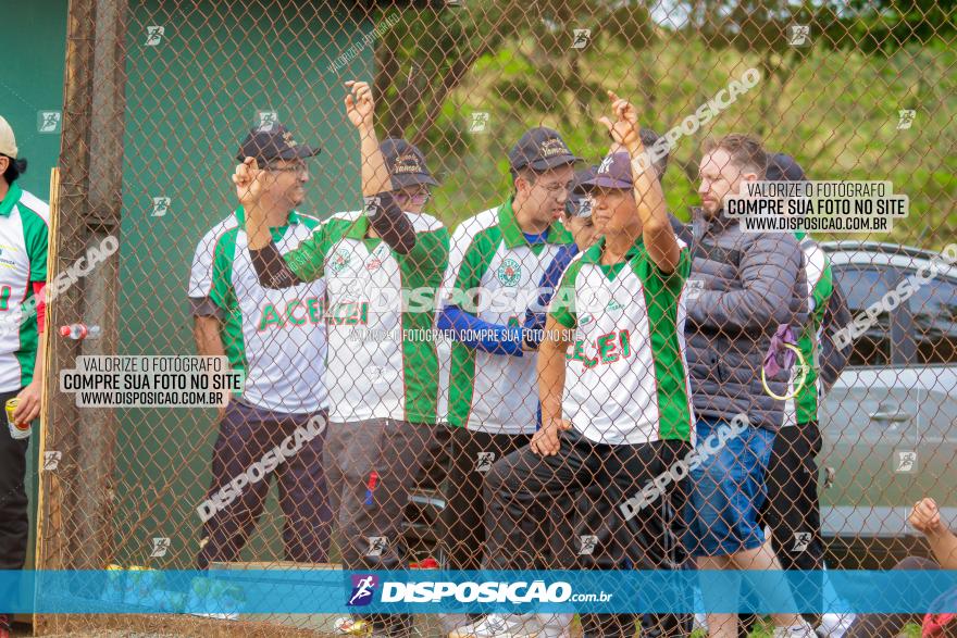 XXXII Brasileirão de Softbol