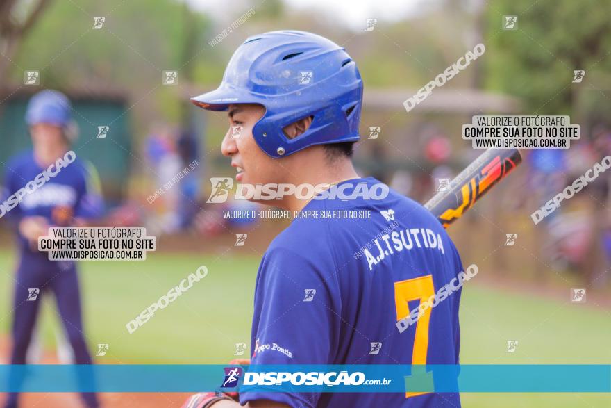 XXXII Brasileirão de Softbol