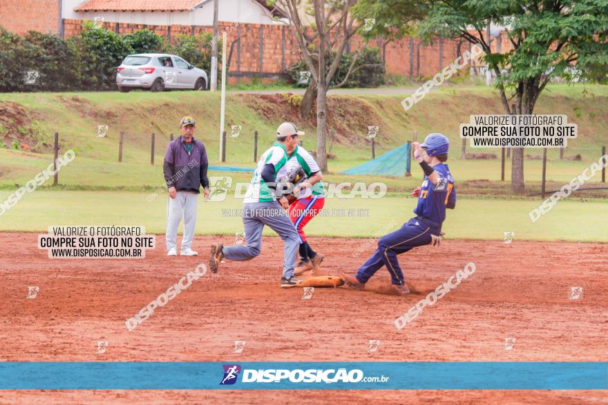 XXXII Brasileirão de Softbol