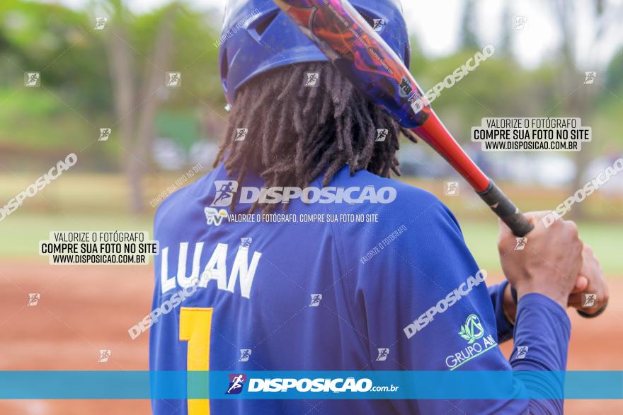 XXXII Brasileirão de Softbol