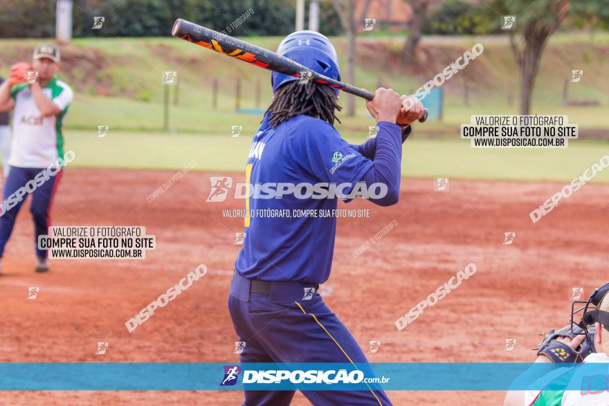 XXXII Brasileirão de Softbol