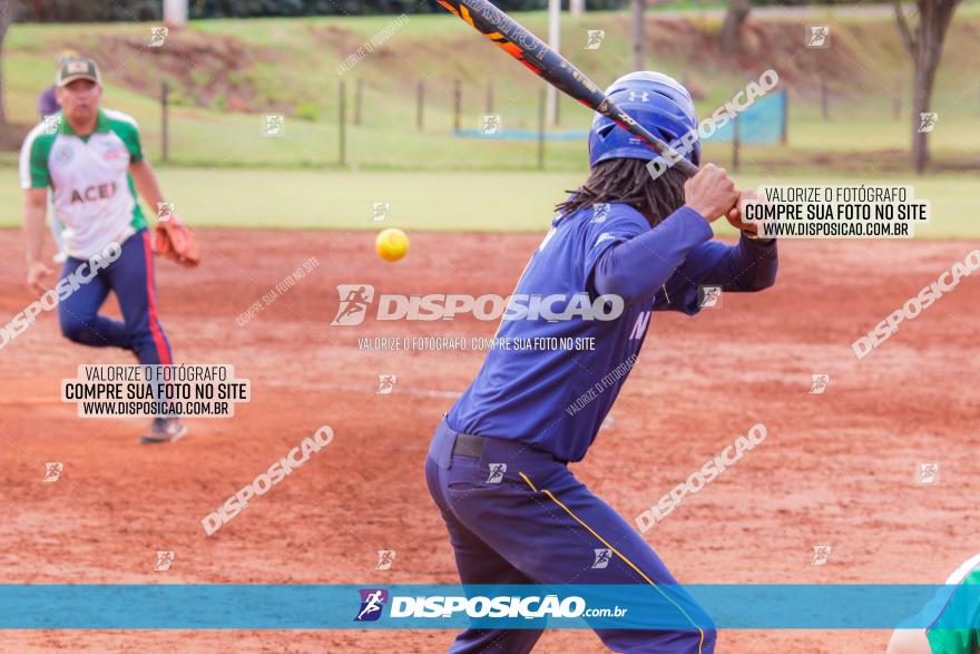 XXXII Brasileirão de Softbol